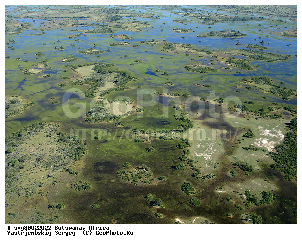 ������, ��������