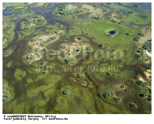 ������, ��������