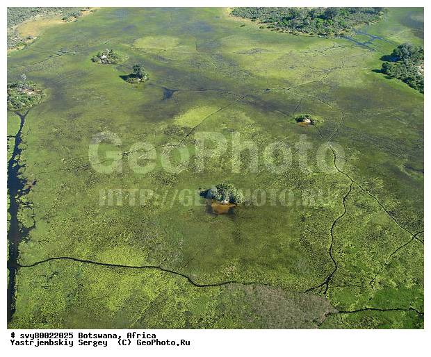 ������, ��������, ����������, ������ ���� ��������