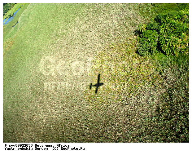 ������, ��������, ��������, ����������