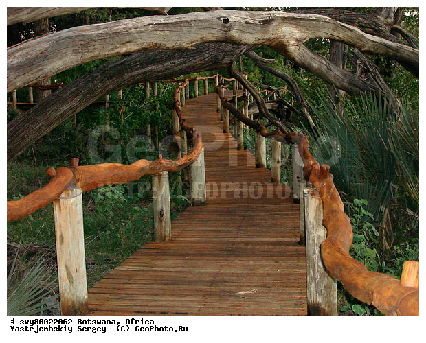 ������, ��������, �������o, ����