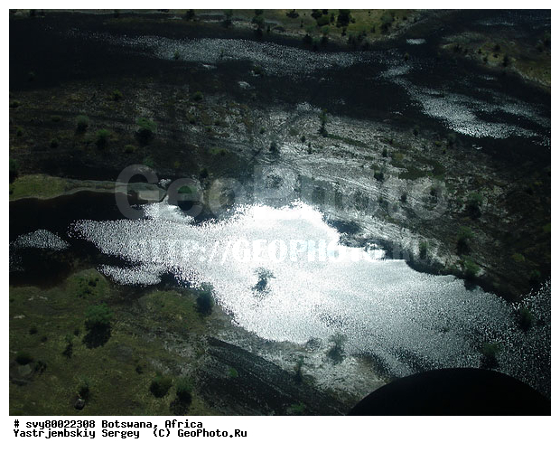 ������, ��������, ����������, ������ ���� ��������