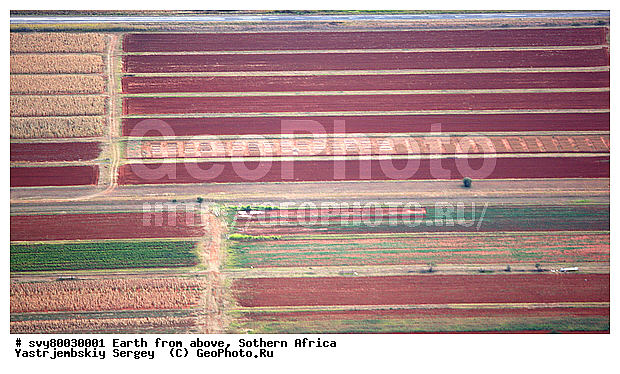 ������, ����������, �������, ����������, ��������������, ��������������, ��� ������, ������������, ��� ������, ����