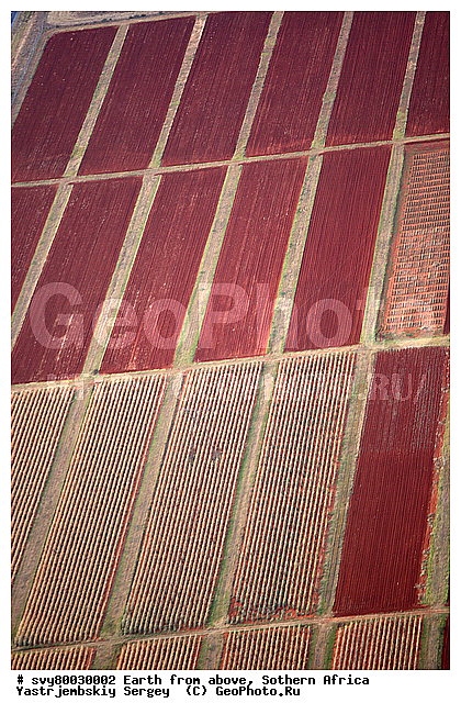 ������, ����������, �������, ����������, ��������������, ��������������, ��� ������, ������������, ��� ������, ����