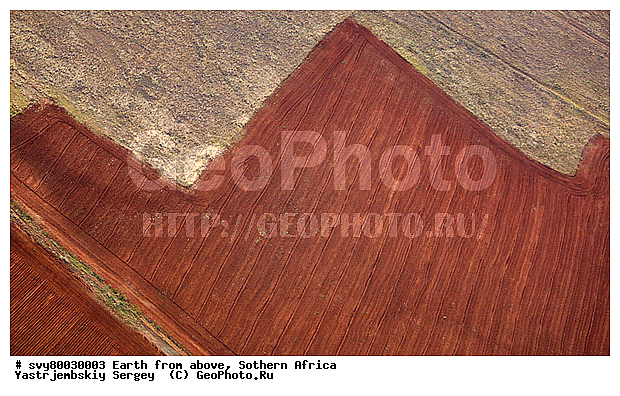 ������, ����������, �������, ����������, ��������������, ��������������, ��� ������, ������������, ��� ������, ����