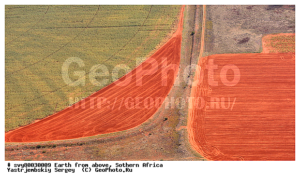 ������, ����������, �������, ����������, ��������������, ��������������, ��� ������, ������������, ��� ������, ����