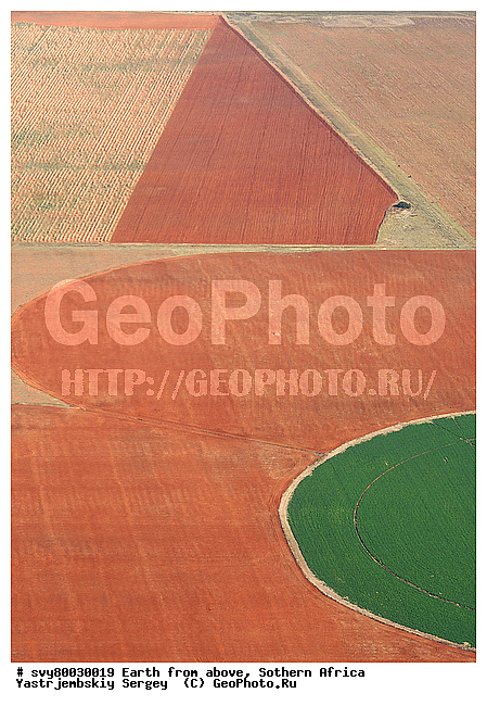 ������, ����������, �������, ����������, ��������������, ��������������, ��� ������, ������������, ��� ������, ����