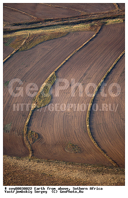 ������, ����������, �������, ����������, ��������������, ��������������, ��� ������, ������������, ��� ������, ����