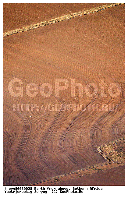 ������, ����������, �������, ����������, ��������������, ��������������, ��� ������, ������������, ��� ������, ����