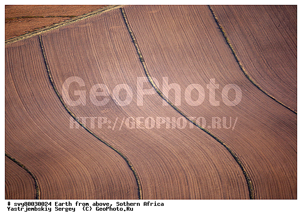 ������, ����������, �������, ����������, ��������������, ��������������, ��� ������, ������������, ��� ������, ����