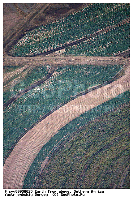 ������, ����������, �������, ����������, ��������������, ��������������, ��� ������, ������������, ��� ������, ����