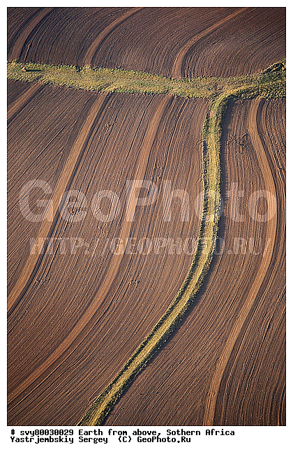 ������, ����������, �������, ����������, ��������������, ��������������, ��� ������, ������������, ��� ������, ����