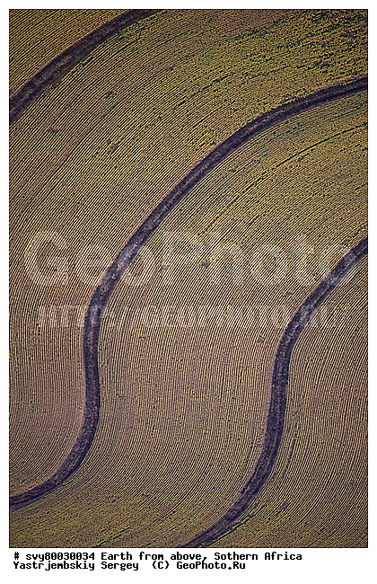 ������, ����������, �������, ����������, ��������������, ��������������, ��� ������, ������������, ��� ������, ����