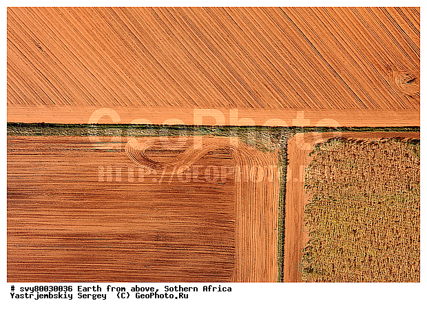 ������, ����������, �������, ����������, ��������������, ��������������, ��� ������, ������������, ��� ������, ����