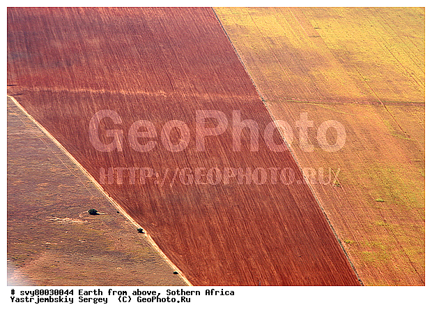 ������, ����������, �������, ����������, ��������������, ��������������, ��� ������, ������������, ��� ������, ����