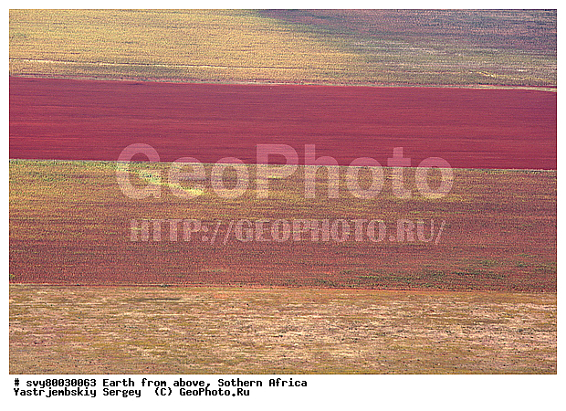 ������, ����������, �������, ����������, ��������������, ��������������, ��� ������, ������������, ��� ������, ����