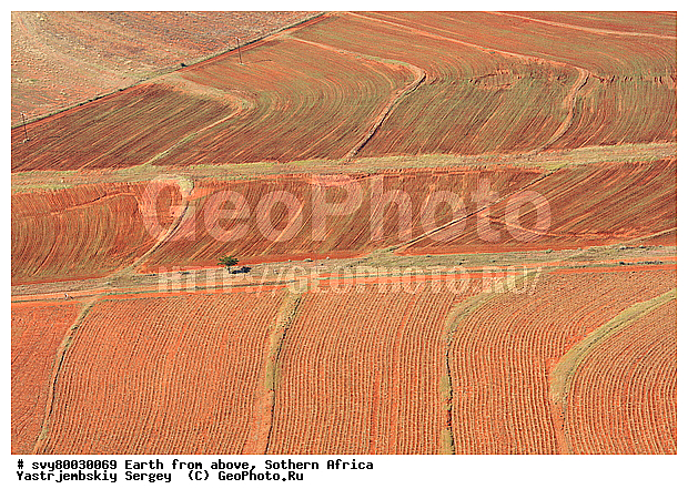 ������, ����������, �������, ����������, ��������������, ��������������, ��� ������, ������������, ��� ������, ����