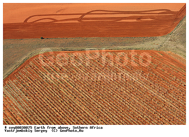 ������, ����������, �������, ����������, ��������������, ��������������, ��� ������, ������������, ��� ������, ����