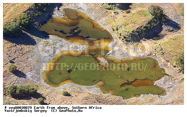 ������, ����������, �������, ����������, ��������������, ��������������, ��� ������, ������������, ��� ������, ����