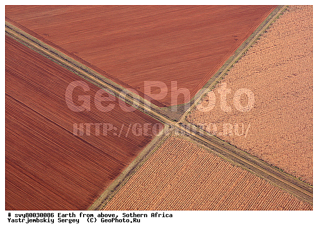 ������, ����������, �������, ����������, ��������������, ��������������, ��� ������, ������������, ��� ������, ����