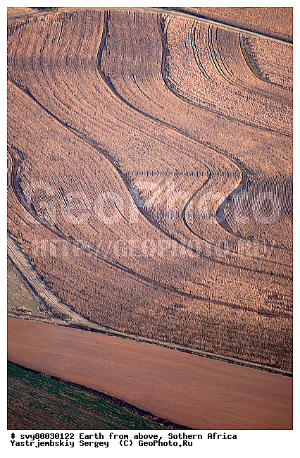 ������, ����������, �������, ����������, ��������������, ��������������, ��� ������, ������������, ��� ������, ����