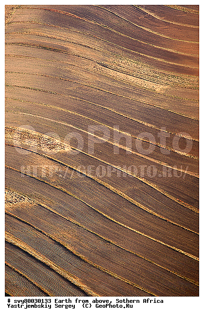 ������, ����������, �������, ����������, ��������������, ��������������, ��� ������, ������������, ��� ������, ����