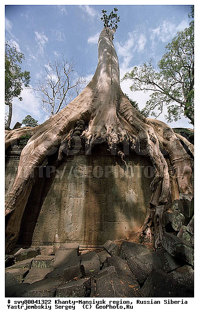 ��������, ��������, ����� ��������, �������������, ����������, ������ ����, ����, �����