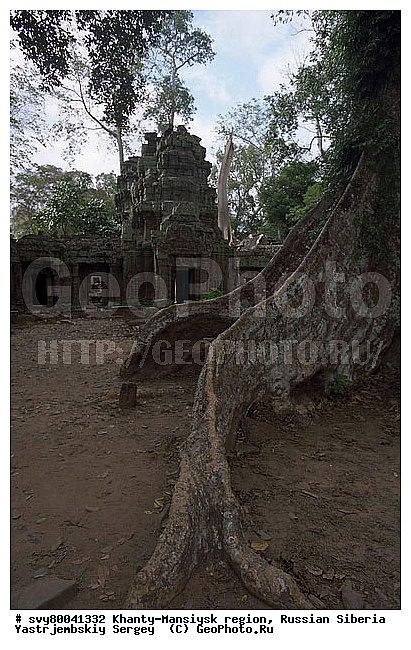 ��������, ��������, ����� ��������, �������������, ����������, ������ ����, ����, �����