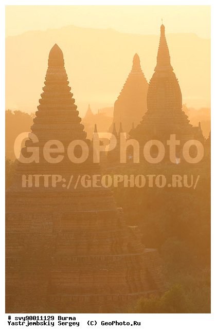 �����, ������