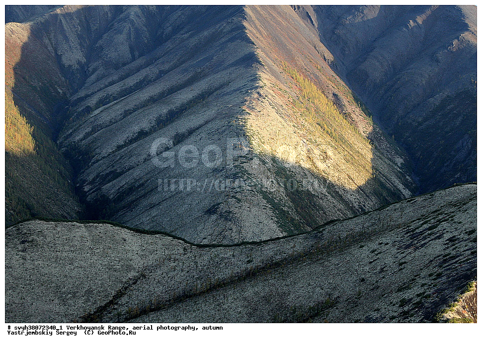 ������, ������� ����,����������� ������, ����������, ����� 