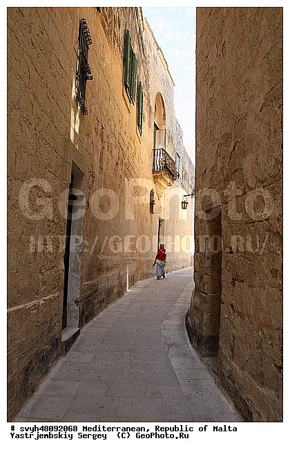 ��������, ���������� ������, ������, �����������, �����������, ����