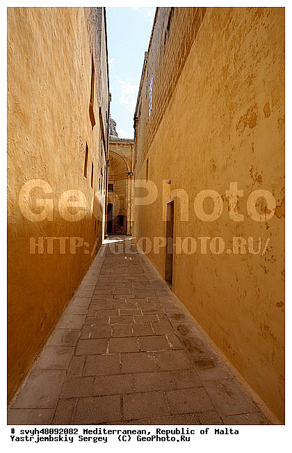 ��������, ���������� ������, ������, �����������, �����������, ����