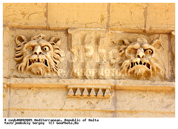 ��������, ���������� ������, ������, �����������, �����������, ����