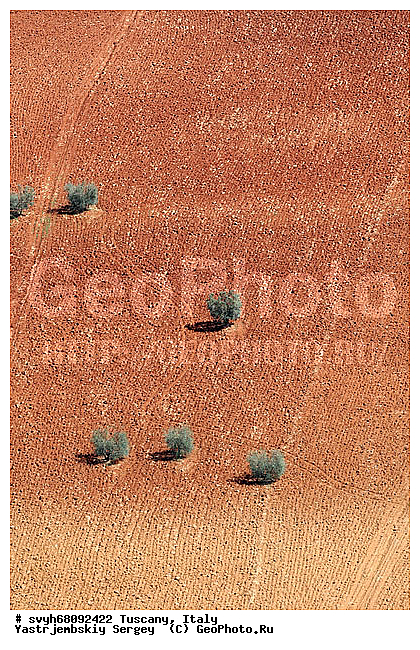 ������, �������������, �������, ����, ����������, ��������, ������ � �������