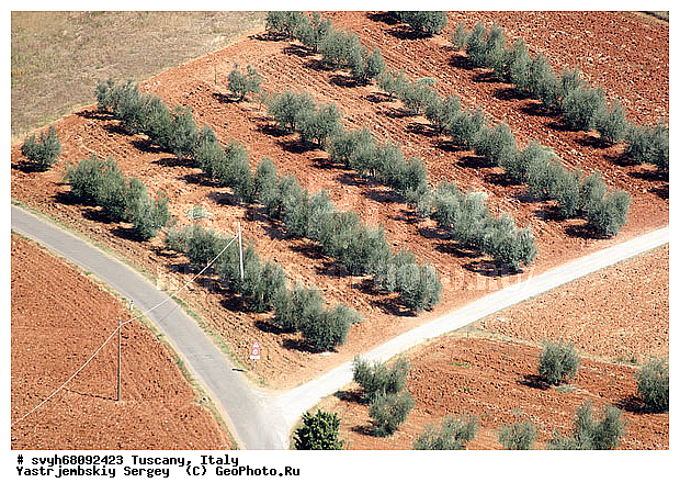 ������, �������������, �������, ����, ����������, ��������, ������ � �������