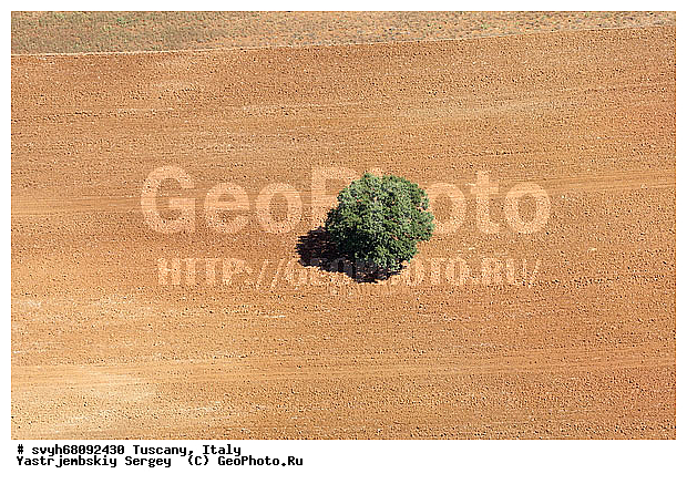 ������, �������������, �������, ����, ����������, ��������, ������ � �������