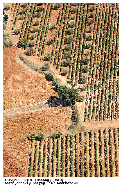 ������, �������������, �������, ����, ����������, ��������, ������ � �������