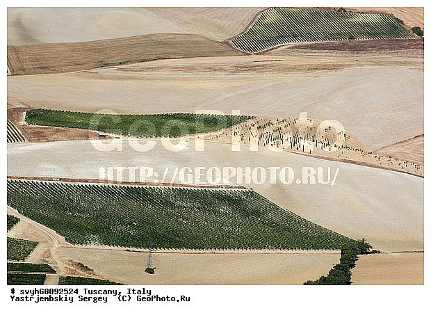 g�Opya, ������, �������, ����, ����������, ����������, ��������, ��������������������, �������������, ��������, ������ � �������