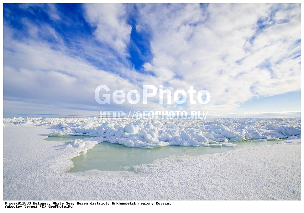 ������, ������, ����� ����, ��������� ����� ������������� �������, ����, 2015 ����, ������, �����