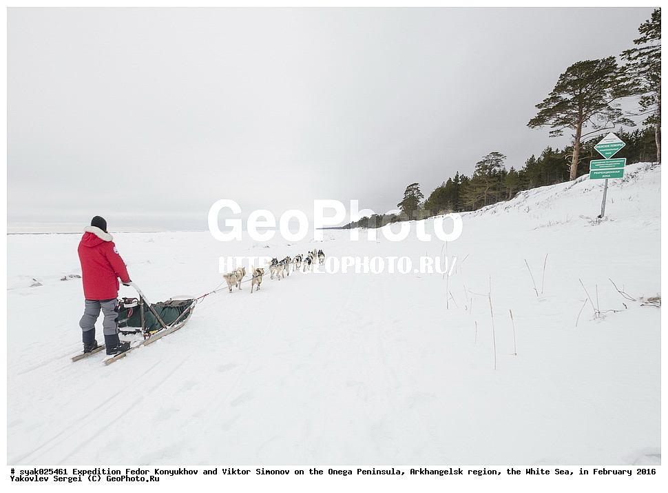 ����������, ����� �������, ������ �������, �������� ����������, ������������� �������, ����� ����, ������� 2016