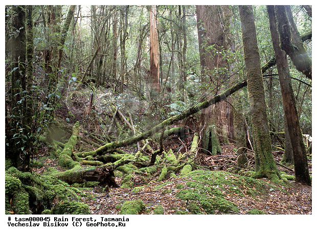 ���������, ��������, ���, �������, ����������� ���