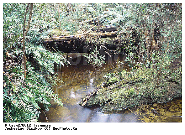 ��������, ����������� ���, ����������� �����������, ����������� ��������, ���������