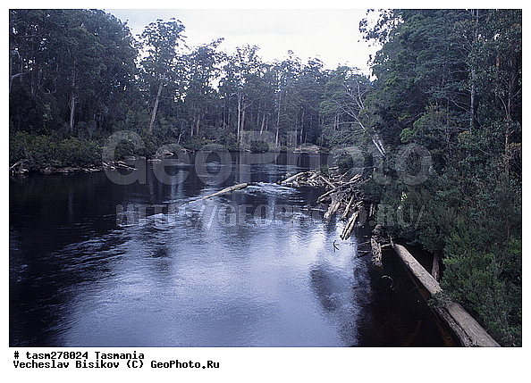 ��������, ����������� ���, ����������� �����������, ����������� ��������, ���������