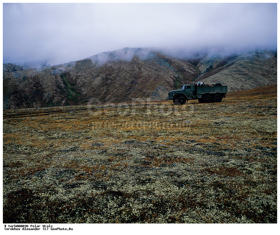 �������� ����, ����, ����, ������