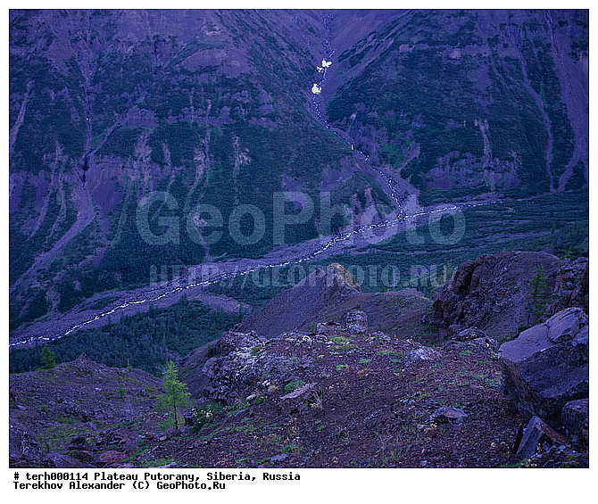 �����, ��������, ������, ������, �����, ����, ���, ����, �����������, ��������, �����, �����, �������