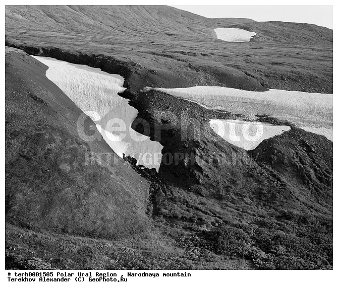 �������, ����������� ����, ������, ����, ������, ������, ���� ���� ��, �����, �������, ������