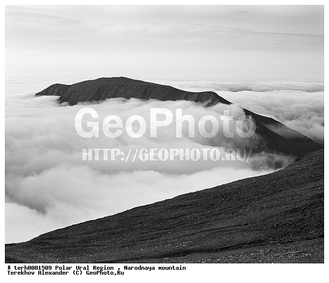 �����������, ����������� ����, ������, �������, ����, ������, ���� ���� ��, �����, �������