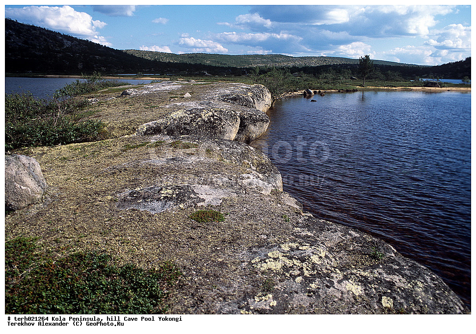 ����, ��������, �������� ����������, ����������, ����, �������������, ����� 