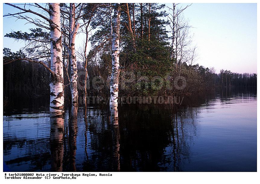 ���� ����, �������� �������, ������, �������� �������, ���������, ������, ����� ����