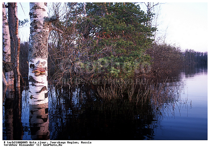 ���� ����, �������� �������, ������, �������� �������, ���������, ������, ����� ����